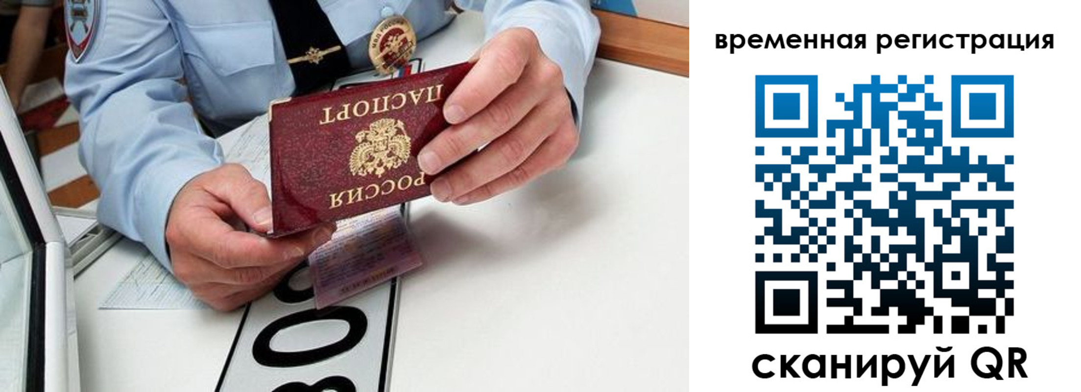 прописка гарантия в Солнечногорске